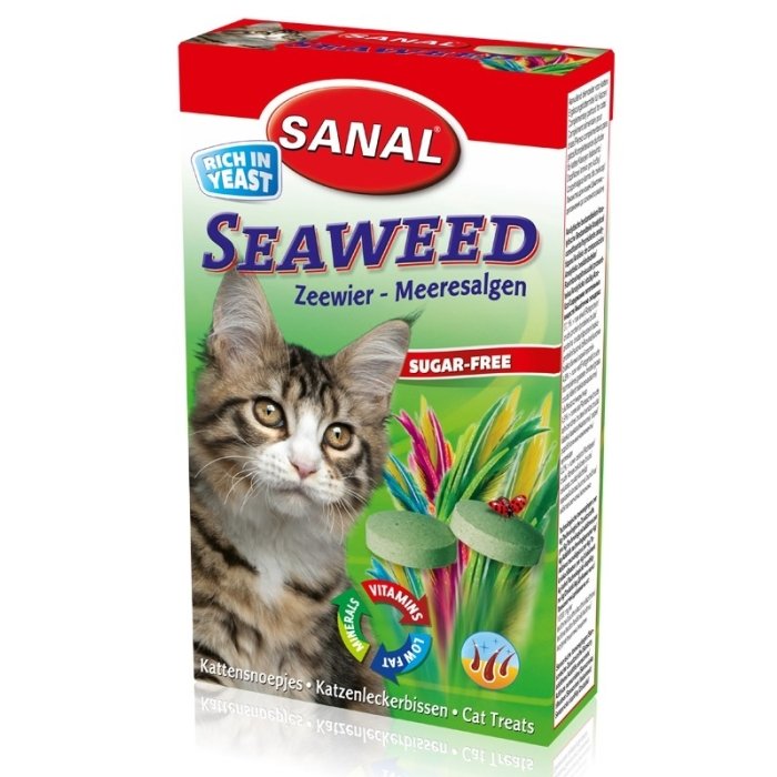 Maius kassidele Sanal merevetikatega / 50g