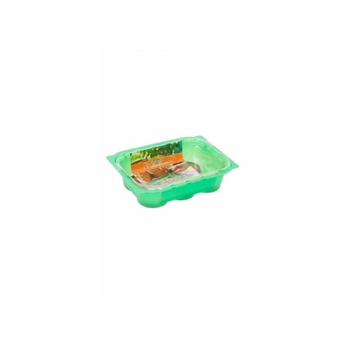 Minikasvuhoone Victoria 16 x 11 x 7cm + 6 turbatabletti