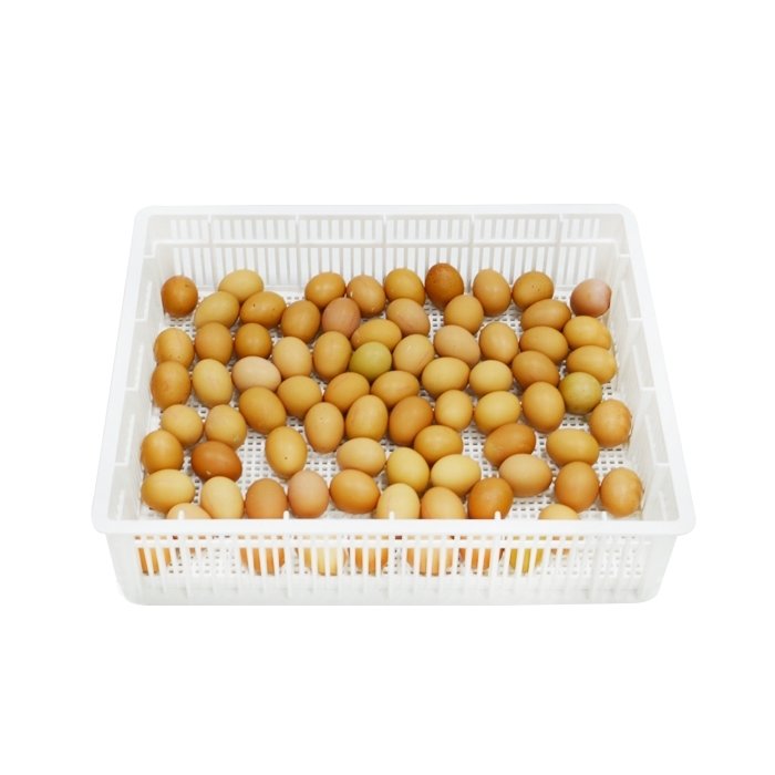 Munade hoidmise kasrt CS80Y