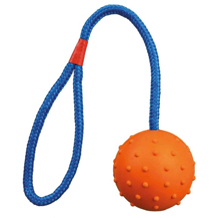 Koera mängunöör palliga 30cm / Ø6cm /K