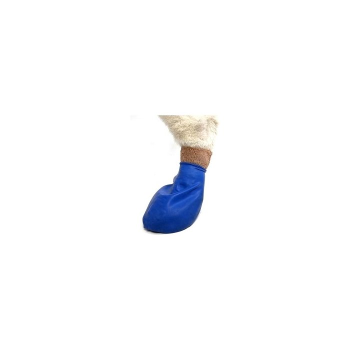 Pawz koera papud / 7,6cm / sinine / M