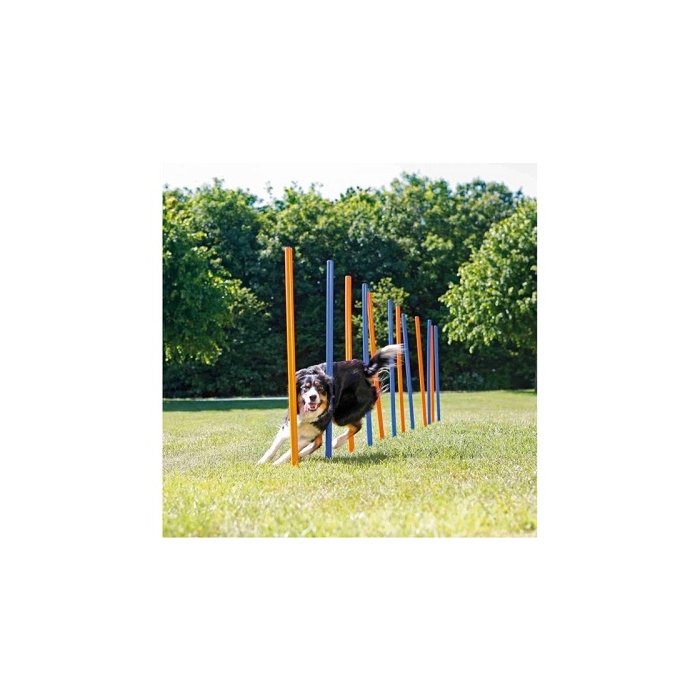 Plastikust Dog Activity Agility slaalom ø3cmx115cm / sinine-oranž