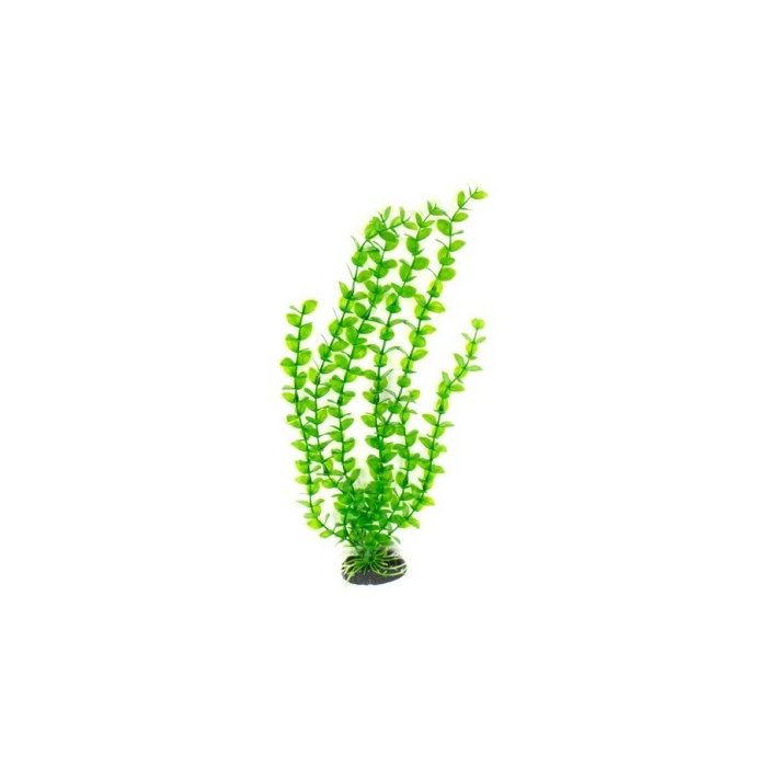Plastist taim M017 40cm