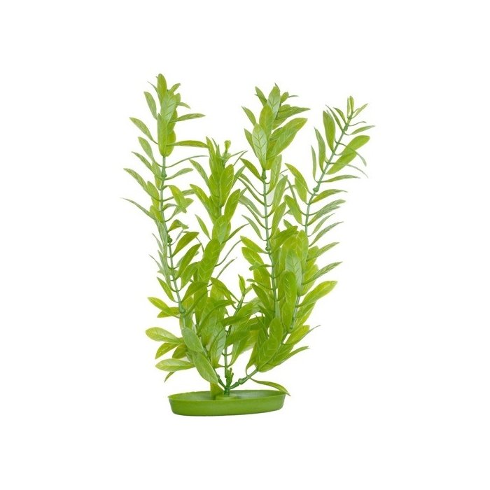 Plastist taim Marina AquaScaper 30cm - Hygrophila