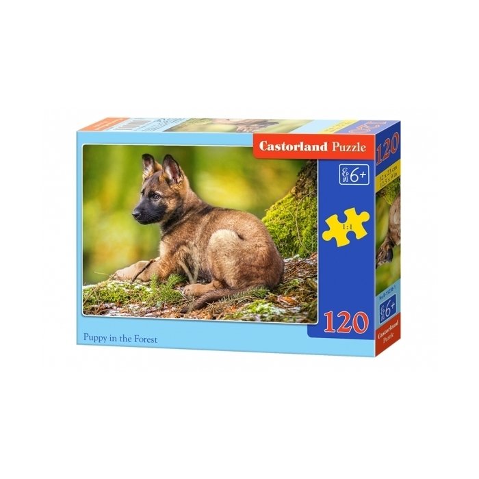Puzzle Castorland Puppy in the forest 32x23cm / 120tk / LM