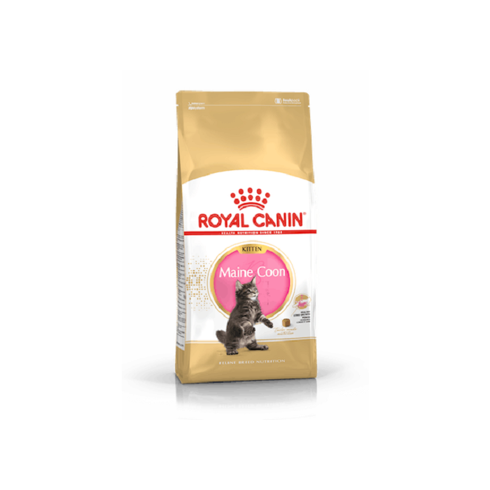 Royal Canin FBN MAINE COON KITTEN 10 kg
