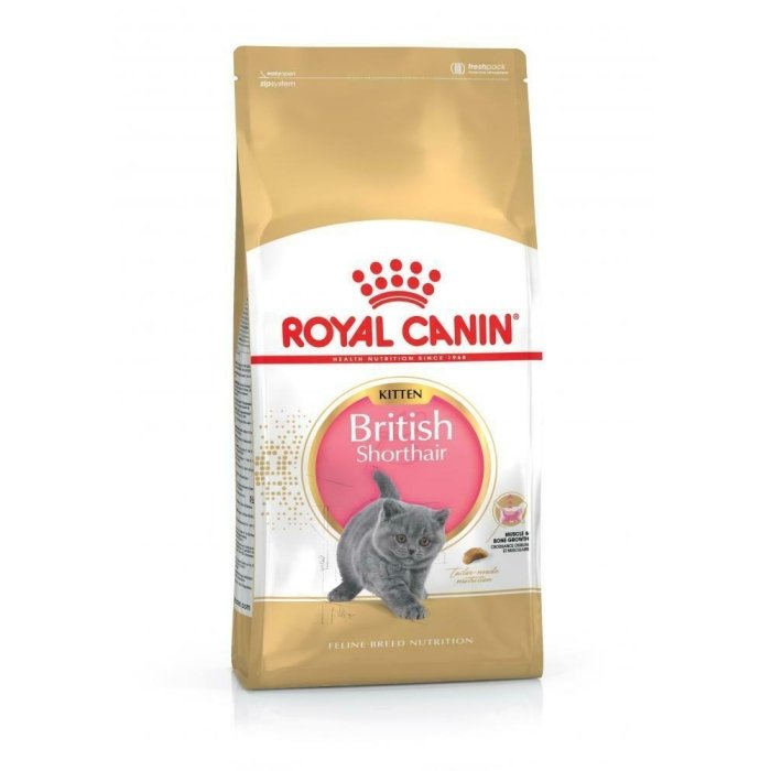 Royal Canin FBN Kitten British Shorthair kassitoit 10kg
