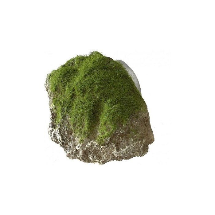 Akvaariumi dekoor Samblakivi koos iminapiga XS 9x6x6,5cm