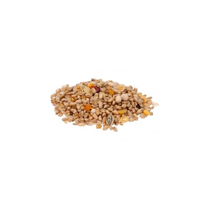 Seemnesegu lindudele / 1kg
