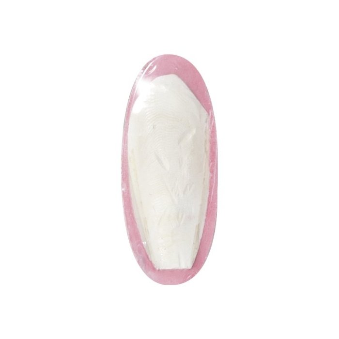 Flamingo seepialuu maasika maitseline lindudele / 12cm