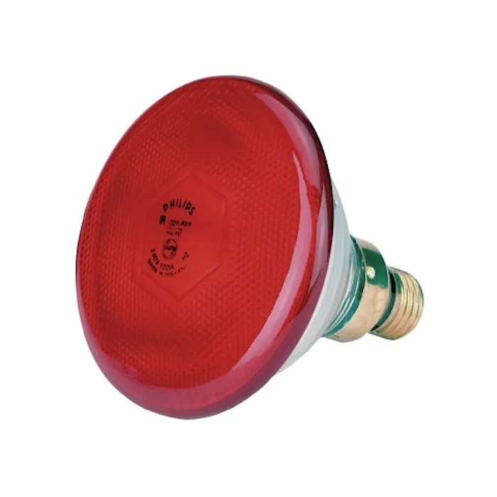 Soojenduslamp Philips Economy punane 175W