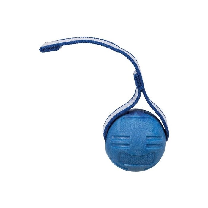 Mänguasi koertele Spordipall, TPR, ø 6 cm