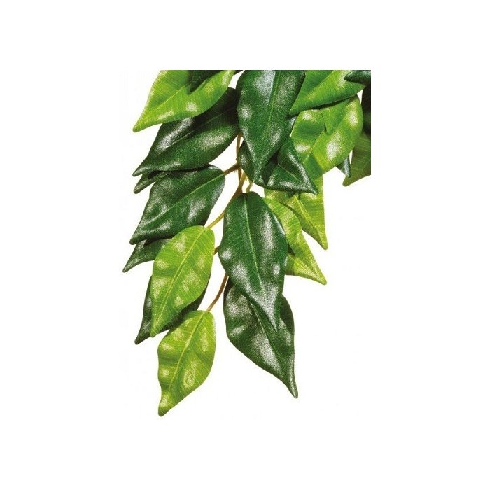 Terraariumi dekoor EXO-TERRA Siiditaim Keskmine Ficus