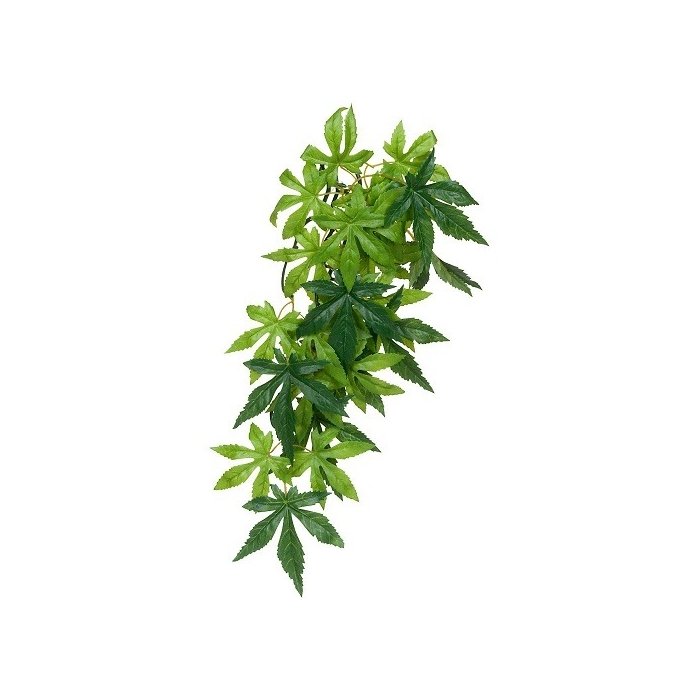 Terraariumi dekoor EXO-TERRA Siiditaim Keskmine Abutilon