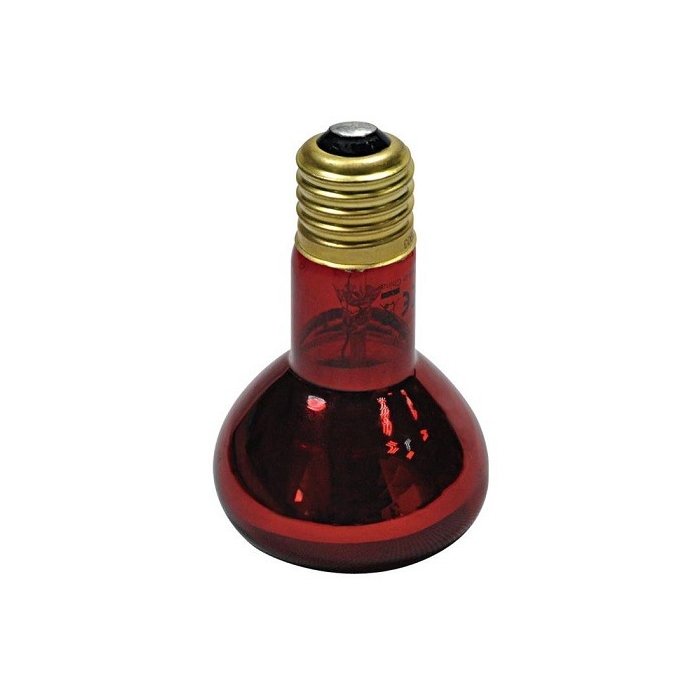 Terrariumi lamp Night Infrared RPL03 50W red