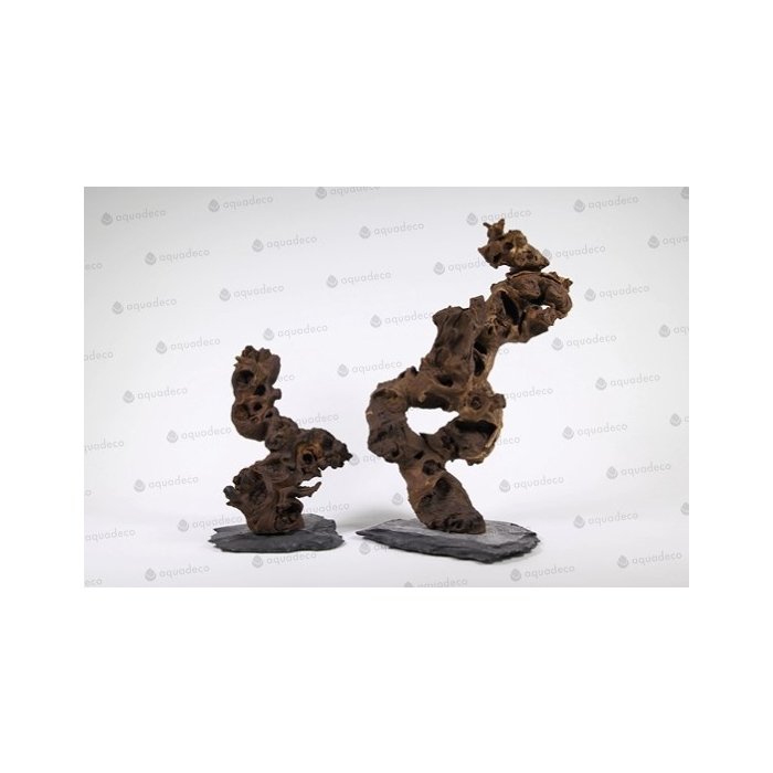 Triivpuu Congo Tree, S / 20cm