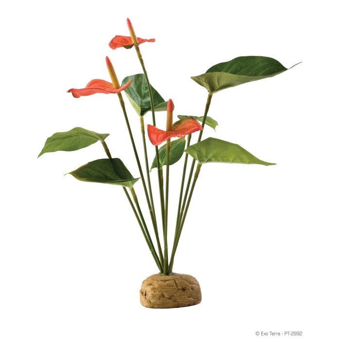 Terraariumi dekoratsioon /varjend Anthurium Bush 