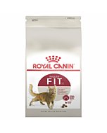 Royal Canin FHN Regular Fit32 kassitoit / 4kg /