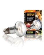 Soojenduslamp Exo Terra Sun Glo Intense Basking Spot S20 / 75W	