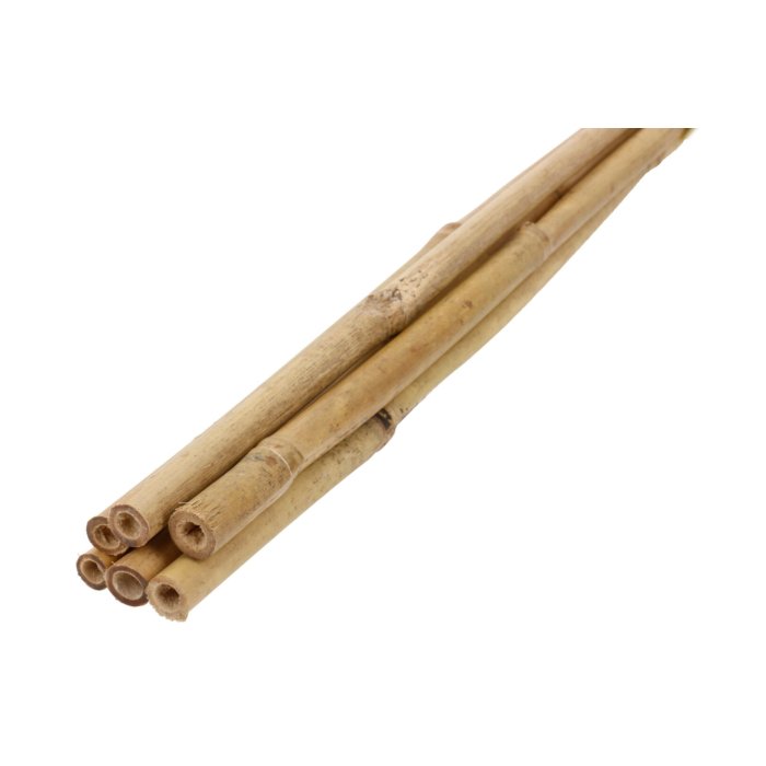 Bambustugi kõrgus 0,6m, Ø 6-8 mm 6tk/kmpl