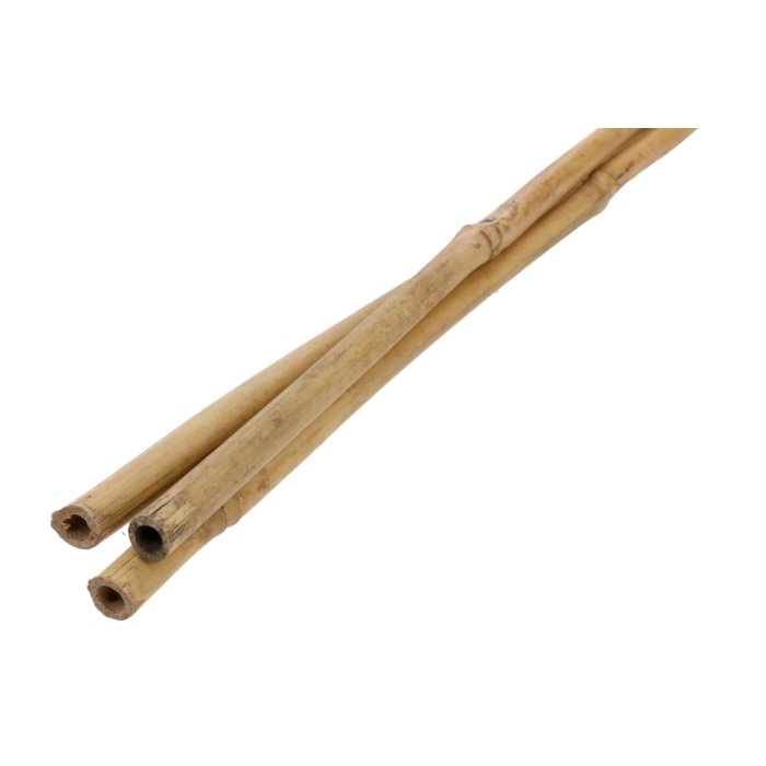 Bambustugi kõrgus 1,2m, Ø 10-12 mm 3tk/kmpl