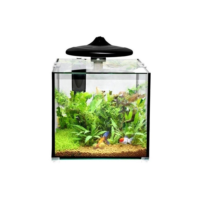 Akvaarium CLEAR CUBE CC30 KOMPLEKT 32L 350x320x318mm
