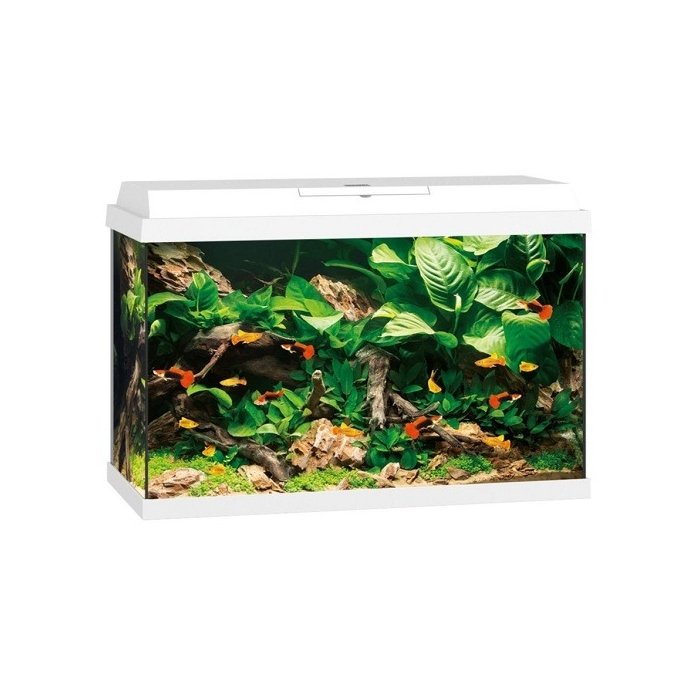 Akvaarium Primo LED 70 L valge