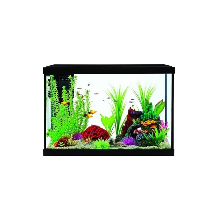 Akvaarium STARTER KIT STK20 75.7L 612x320x431mm