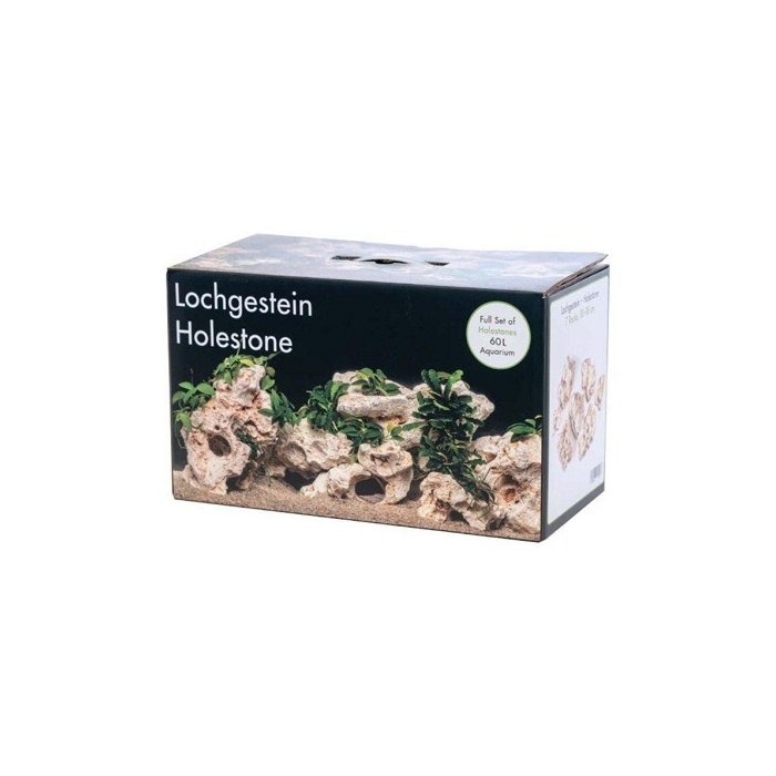 Akvaariumi dekoor Mitme auguga kivi 60L