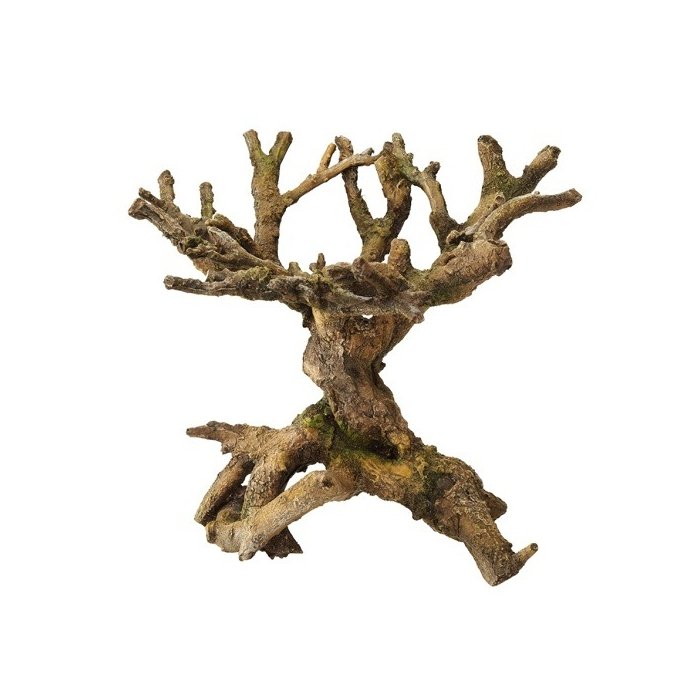 Akvaariumi dekoor Bonsai 22x19x20,5cm pruun