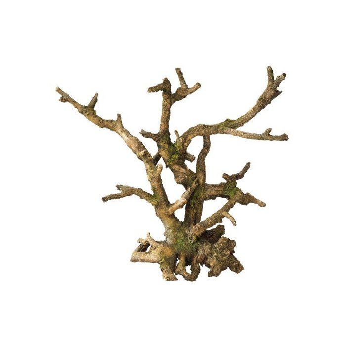 Akvaariumi dekoor Bonsai ilma lehtedeta 25,5x10x24cm pruun