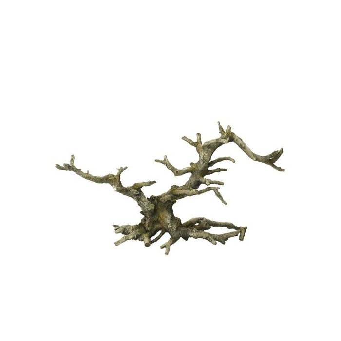 Akvaariumi dekoor Bonsai ilma lehtedeta 35,5x10x17,5cm hall