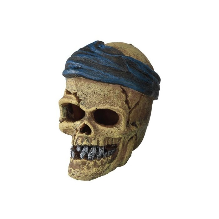 Akvaariumi dekor Pirate skull headcrack 7,2x6x7,8cm