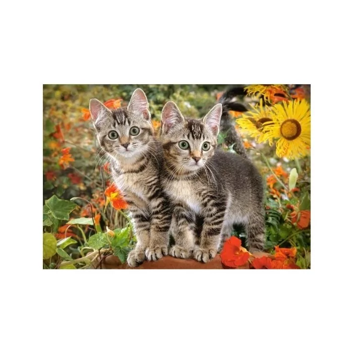 Pusle Castorland Kitten Buddies 68x47cm / 1500tk / LM