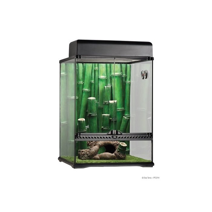 Terraariumi Exo Terra Bamboo Forest Habitat large / 45x45x60cm