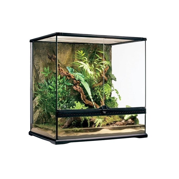 Klaasist terraarium Exo-Terra Natural Terraarium 60 x 45 x 60 cm Medium (PT2612)