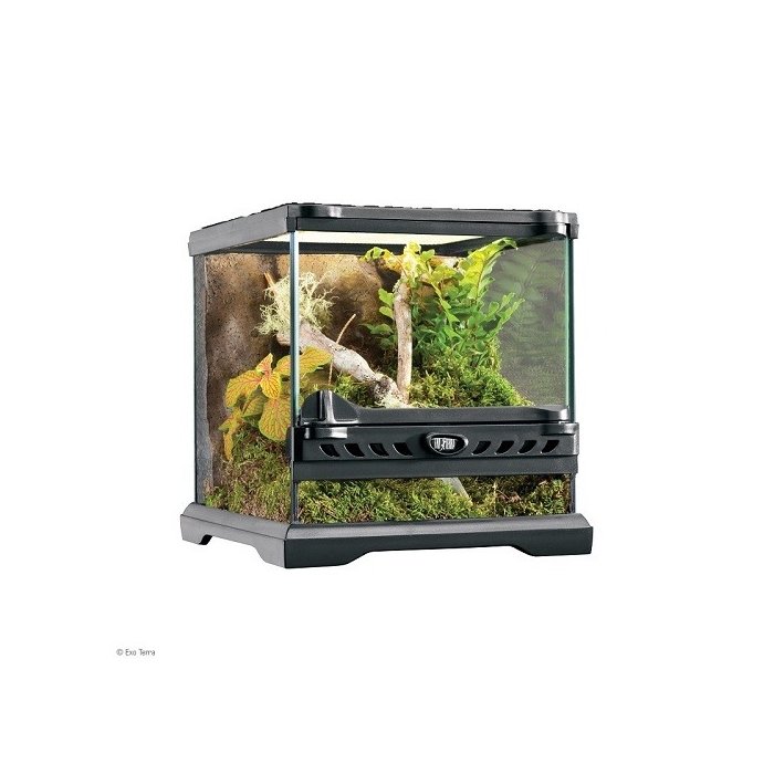 Klaasist terraarium - Exo Terra Natural, Nano / 20x20x20cm (PT2599) 