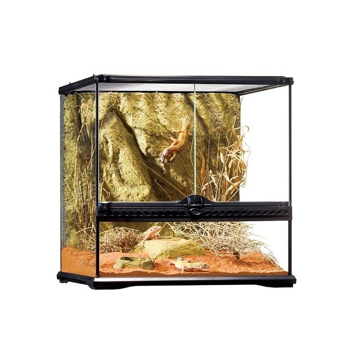 Klaasist terraarium - Exo Terra Small Wide Terrarium / 45х45х45cm (PT2605) 