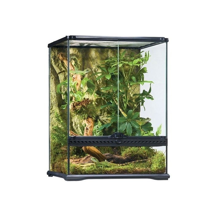 Klaasist terraarium - Exo Terra Natural, Small/tall / 45x45x60cm (PT2607) 