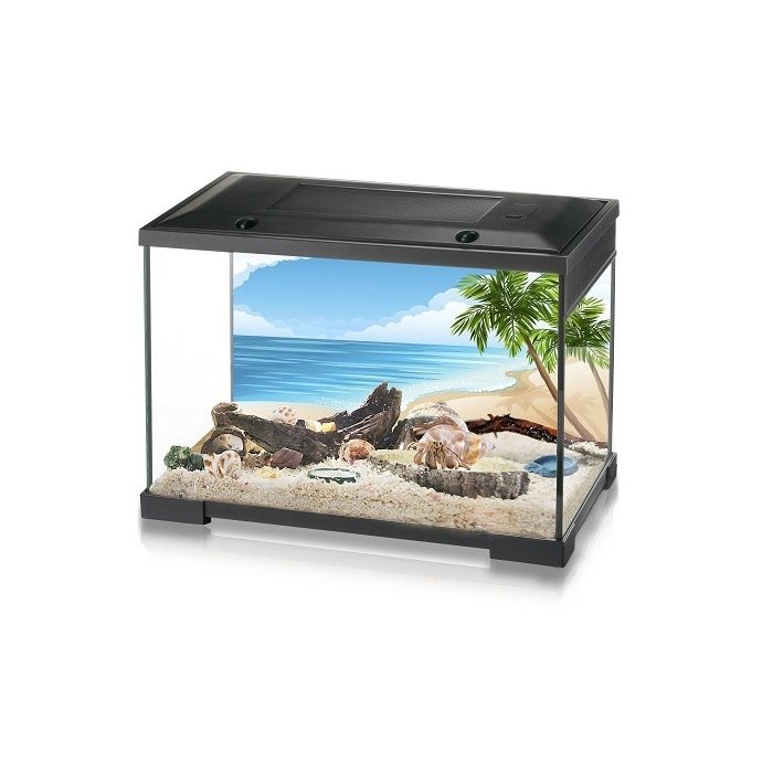 Klaasist terraariumikomplekt Exo-Terra Hermit Crab Starter Kit - erakvähile PT-380H 50.8x25.4x33.2cm