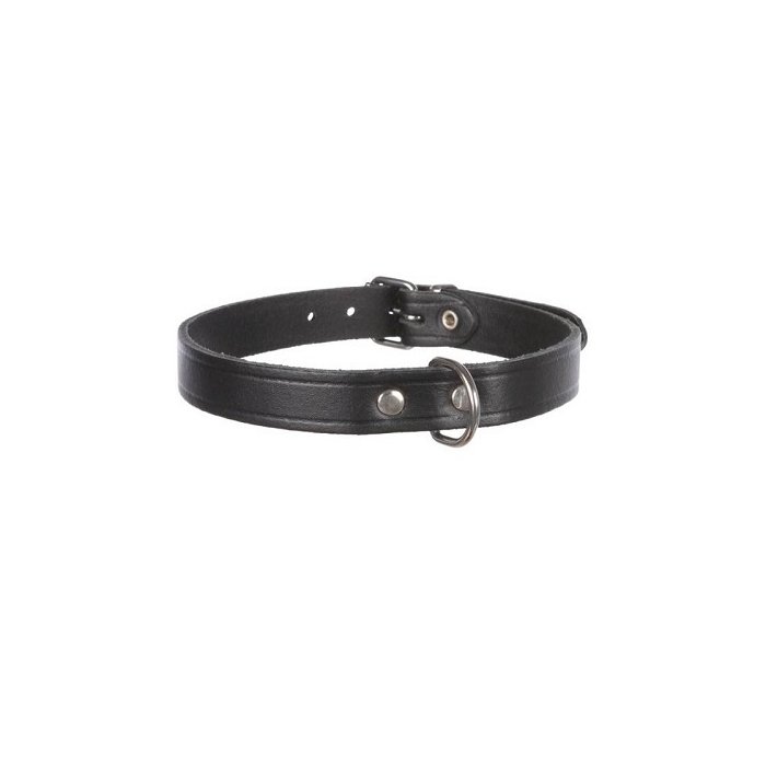 Koera kaelarihm Basic XS black / 19-24cm 12mm