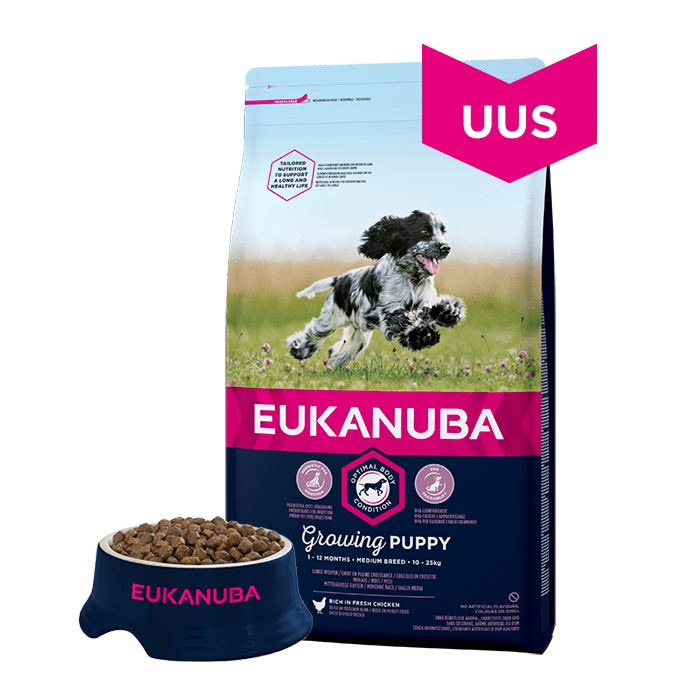 Eukanuba Puppy Chicken Medium Breed / ДЛЯ ЩЕНКОВ СРЕДНИХ ПОРОД / 15kg