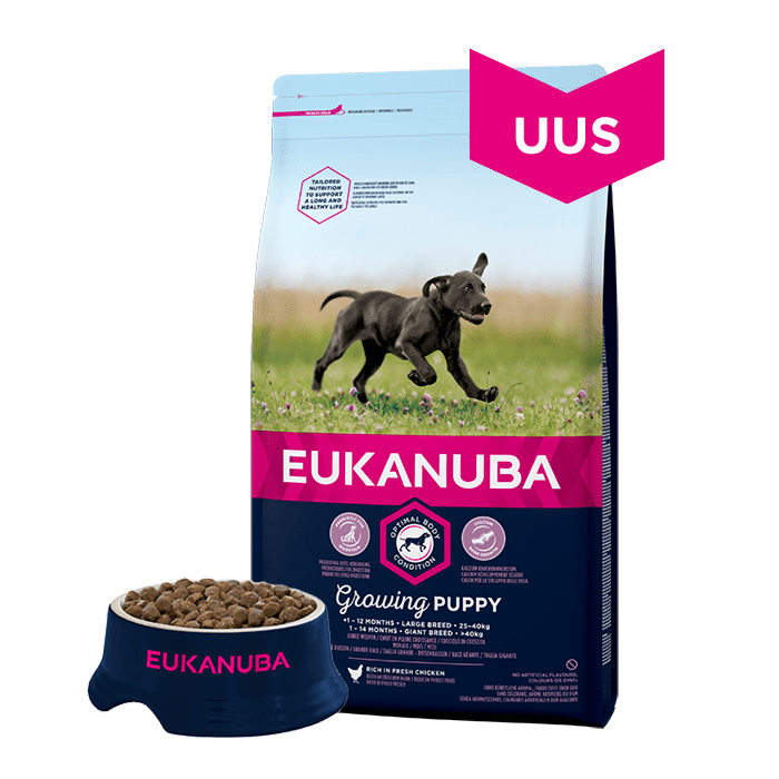 Eukanuba - Puppy Large Breed - для щенков крупных пород / 15kg