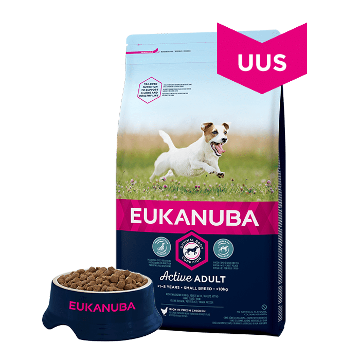 Eukanuba - Adult Small Breed - корм для собак мелких пород