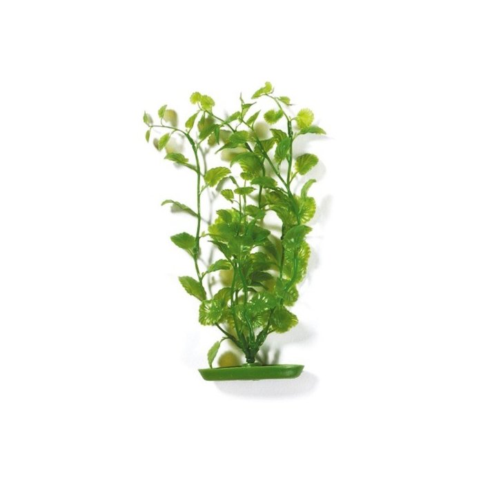 Plastist taim Marina AquaScaper 30cm - Cardamine