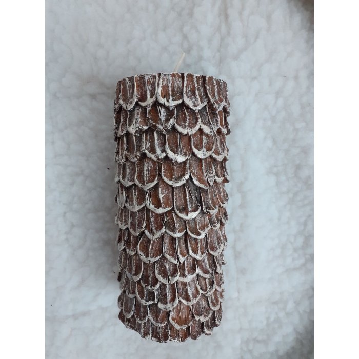 Küünal Mänd / K15cm /LM