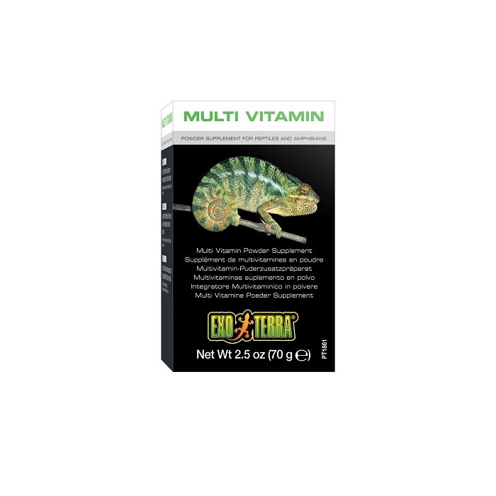 Multi Vitamin Powder Supplement / 70g