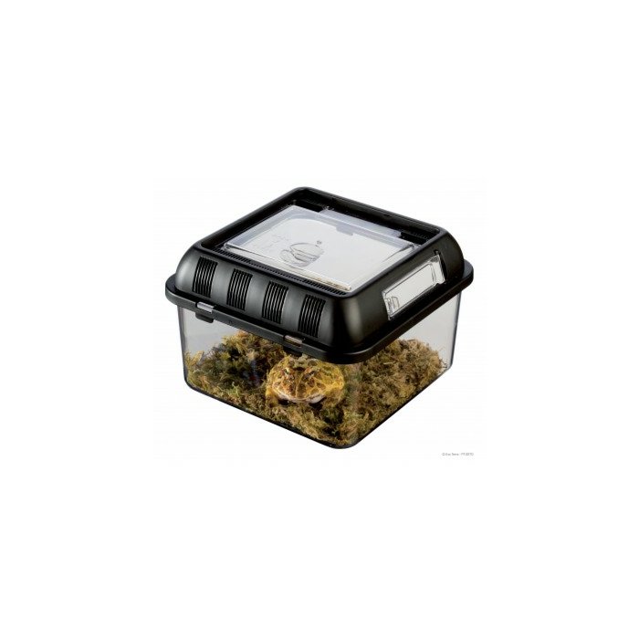 Terrarium plastmass Exo-Terra Breeding Box Small (PT-2270) / 212x212x155 mm 