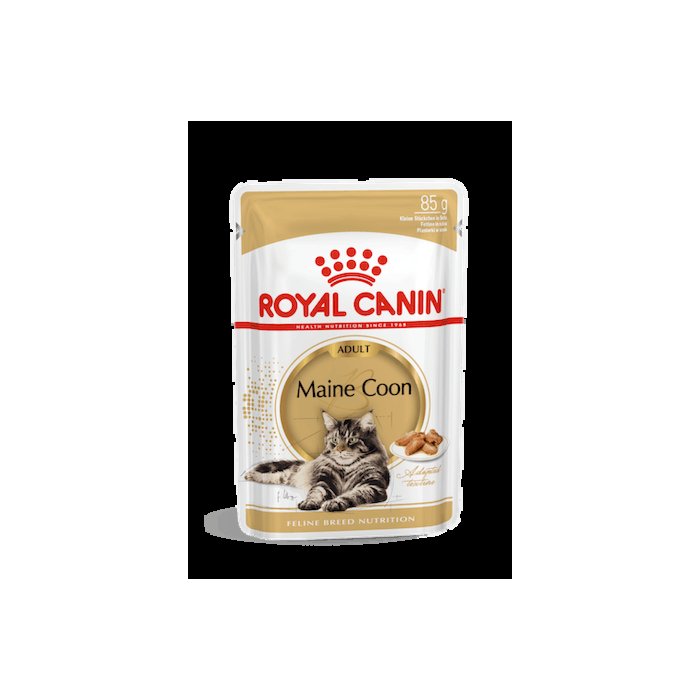 Royal Canin FBN MAINE COON WET (85g x 12)