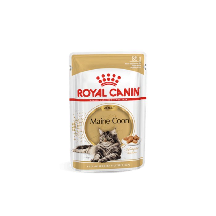 Royal Canin FBN MAINE COON WET (85g x 12)